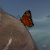 Crimson hues flutter delicately through the air.